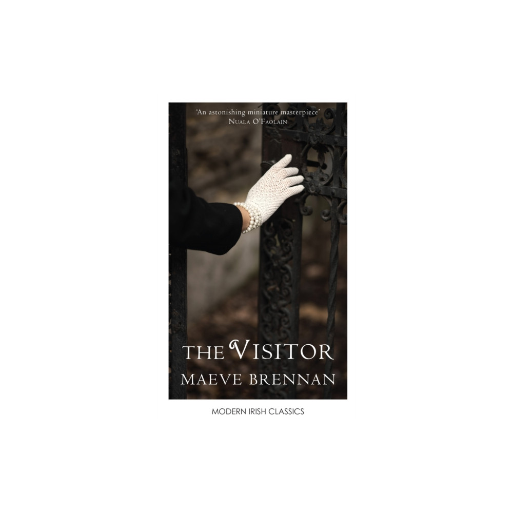 The Visitor (häftad, english) New Island Books