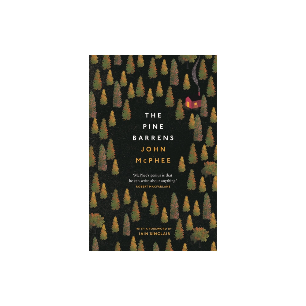 The Pine Barrens (häftad, english) Daunt Books
