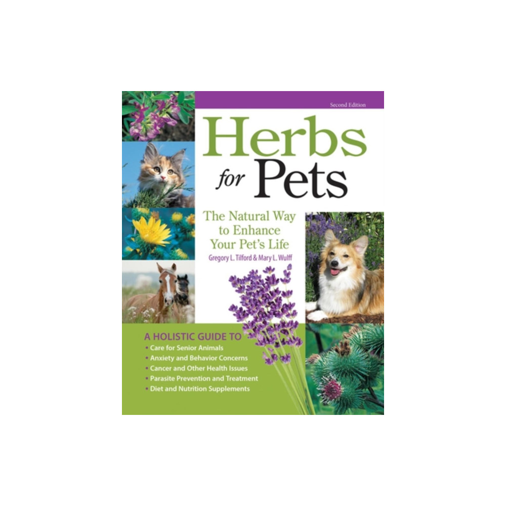Herbs for Pets (häftad, english) Companion House