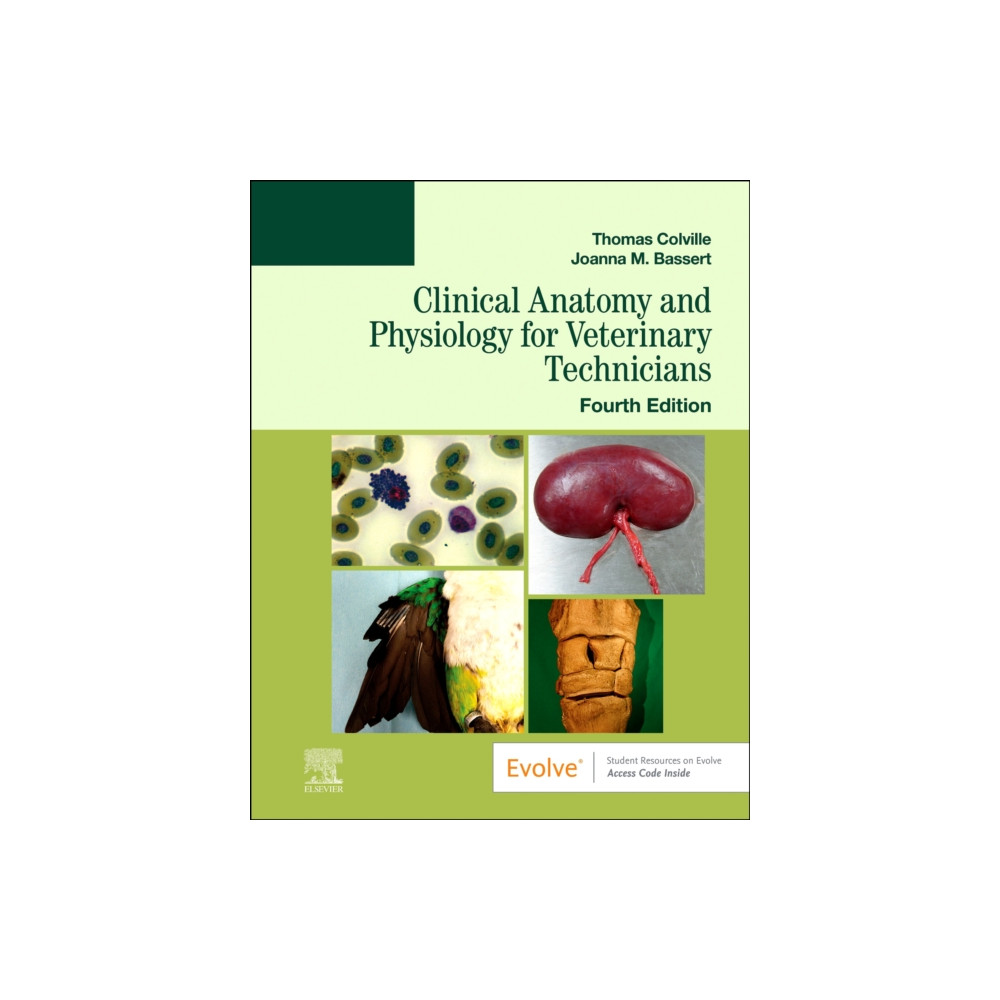 Clinical Anatomy and Physiology for Veterinary Technicians (häftad, eng)