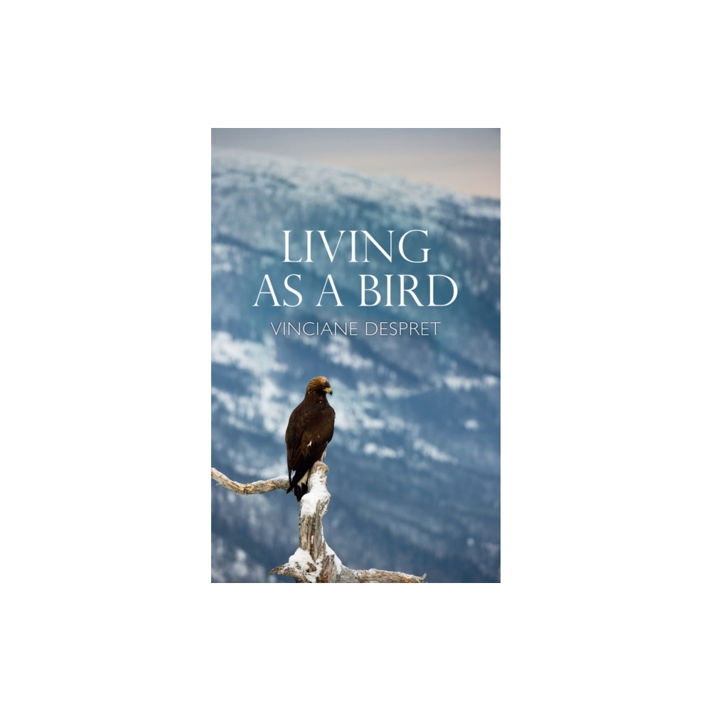 Living as a Bird (häftad, eng)