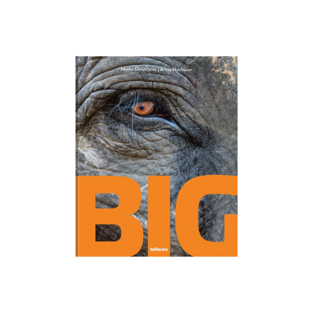 Big (inbunden, english) teNeues Publishing UK Ltd