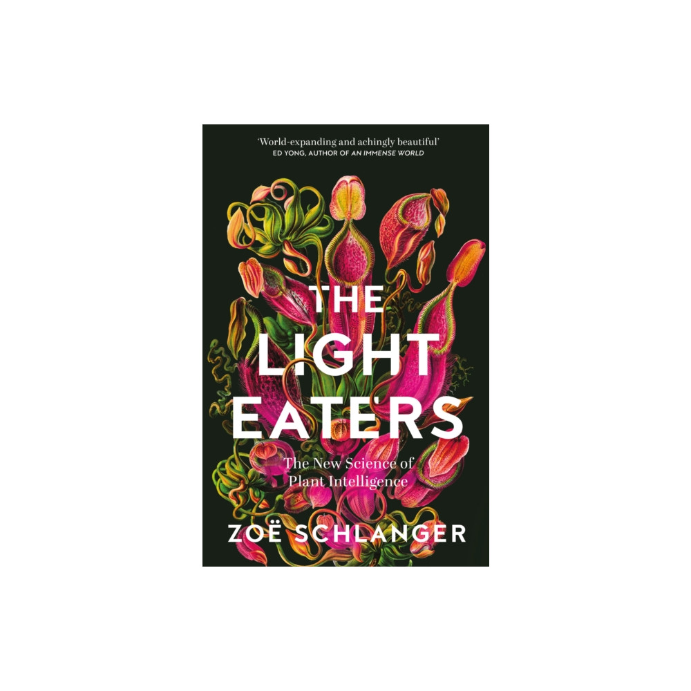 The Light Eaters (häftad, english) HarperCollins Publishers