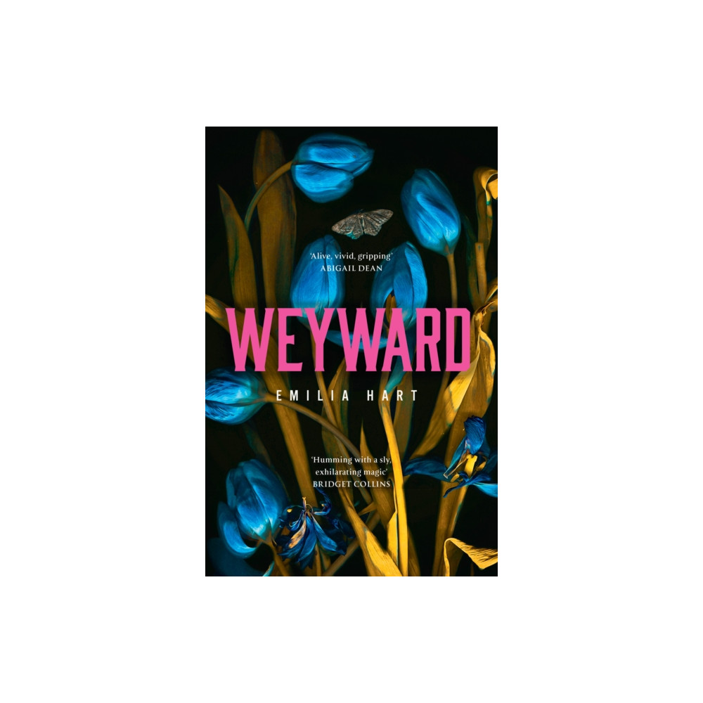 Weyward (häftad, english) HarperCollins Publishers
