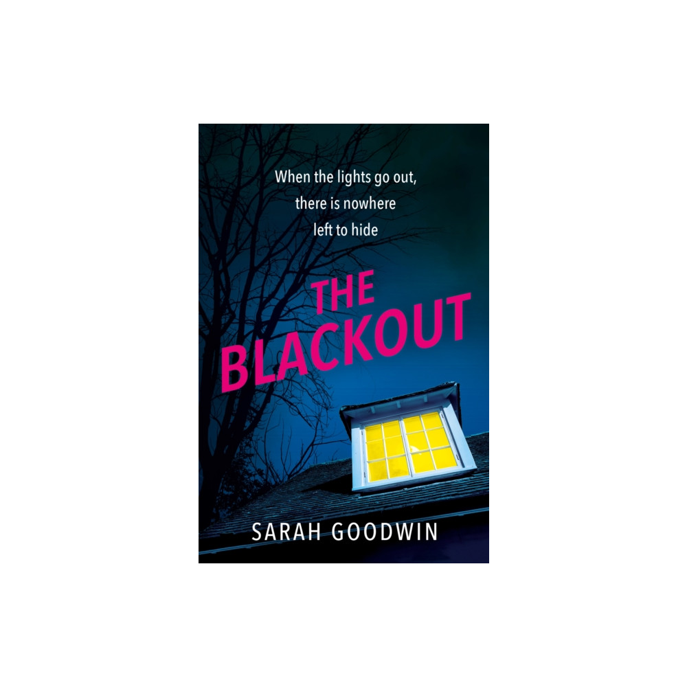 The Blackout (häftad, english) HarperCollins Publishers