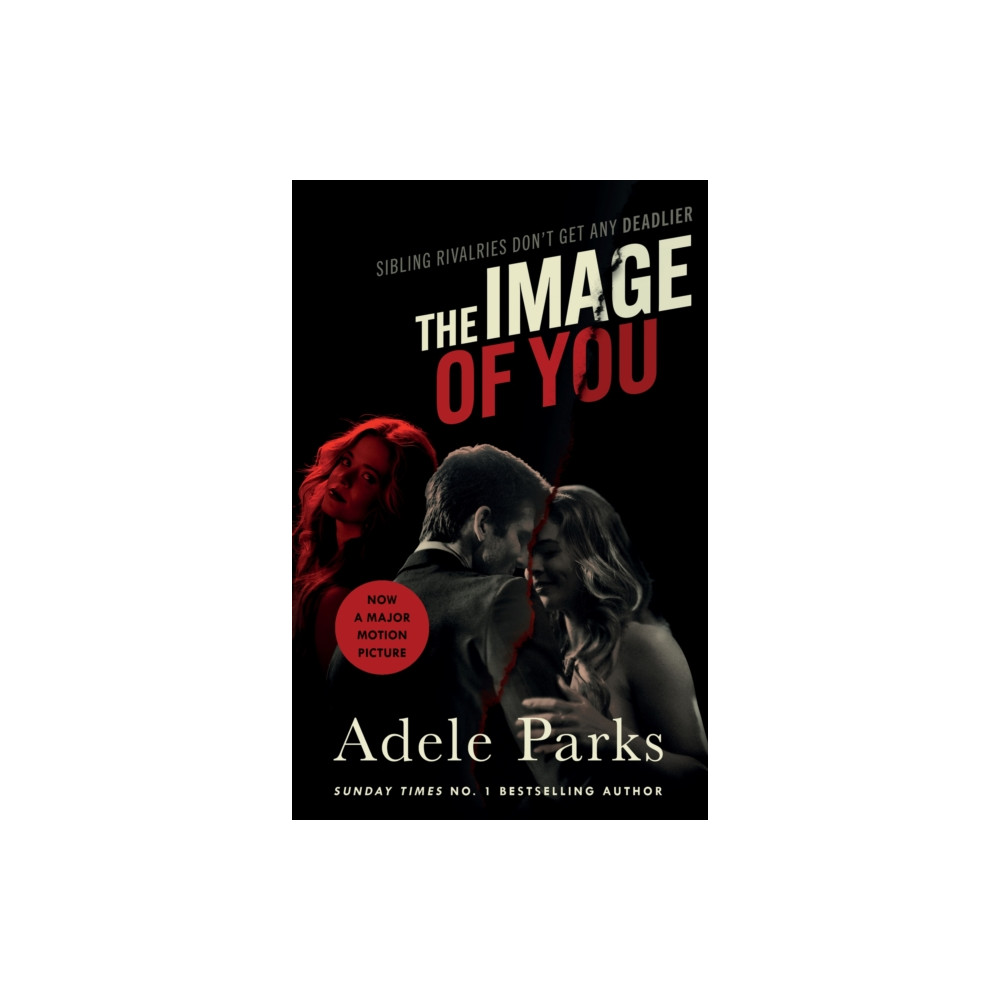 The Image of You (häftad, english) Headline Publishing Group