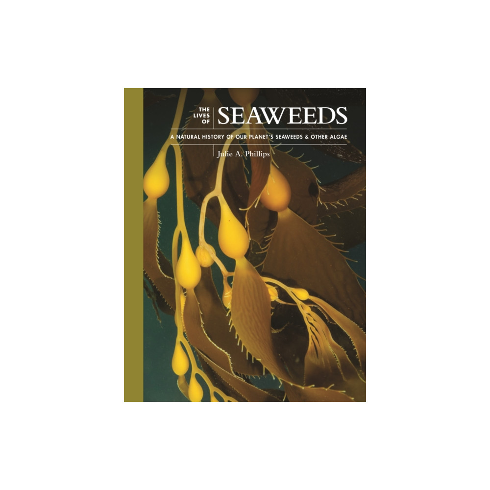 The Lives of Seaweeds (inbunden, english) Princeton University Press