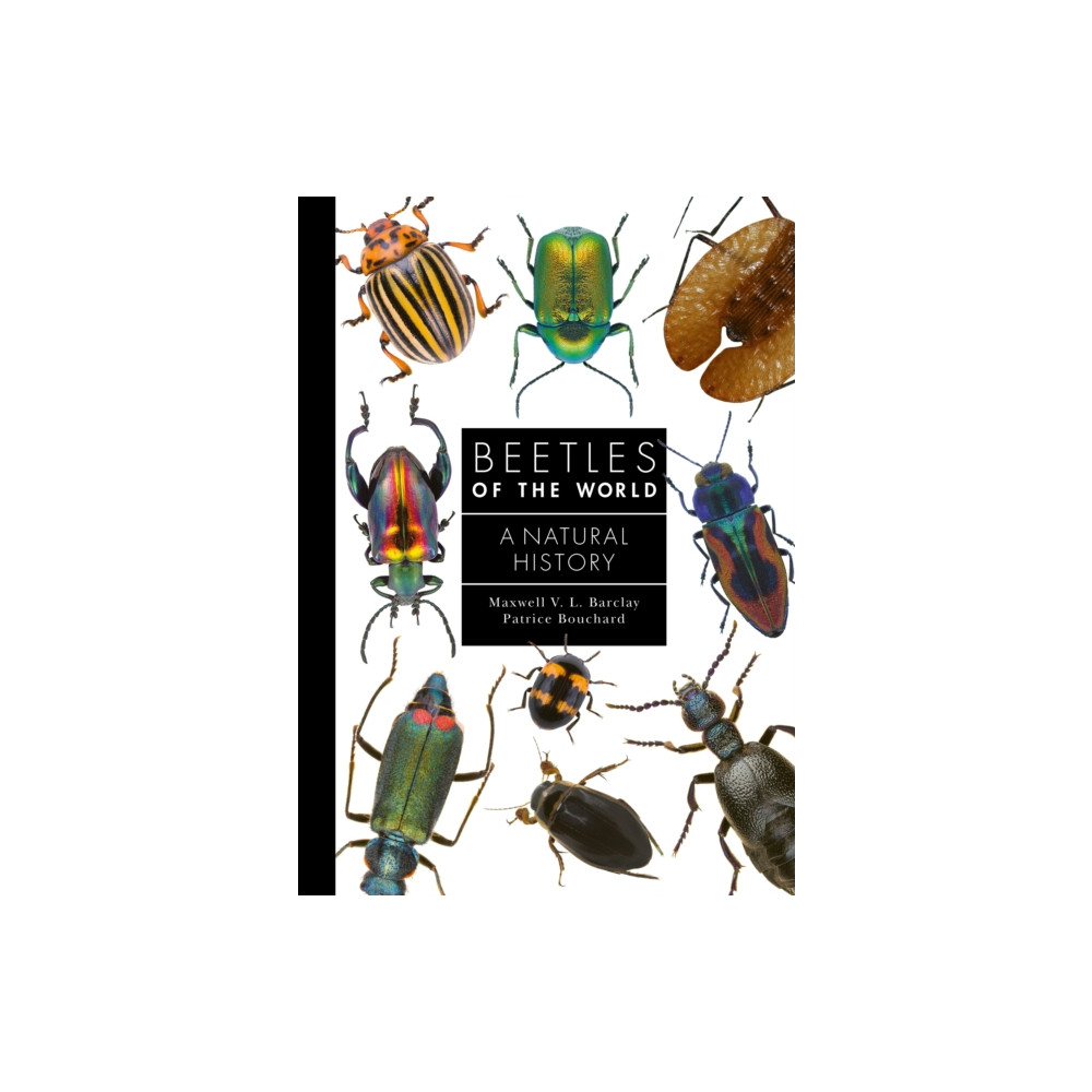 Beetles of the World (inbunden, eng)