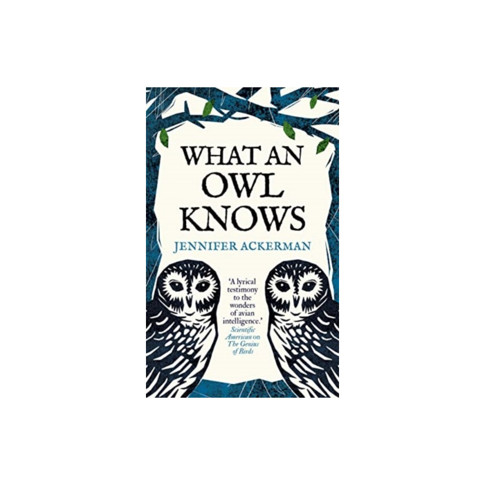 What an Owl Knows (häftad, eng)