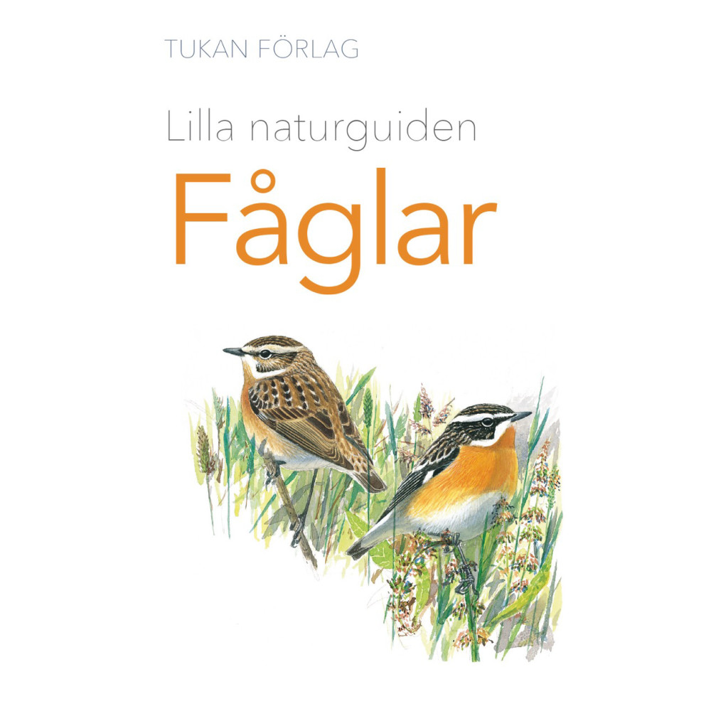 Lilla naturguiden : Fåglar (häftad) Tukan Förlag