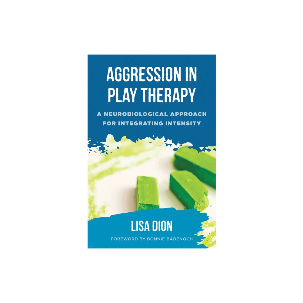 Aggression in Play Therapy (inbunden, english) WW Norton & Co