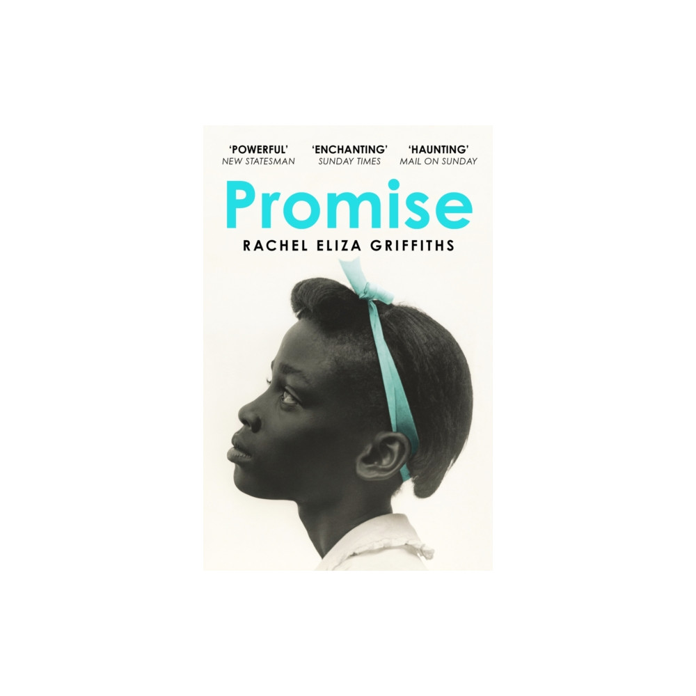 Promise (häftad, english) John Murray Press