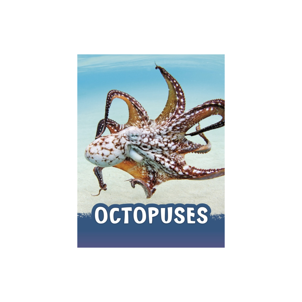 Octopuses (häftad, english) Capstone Global Library Ltd