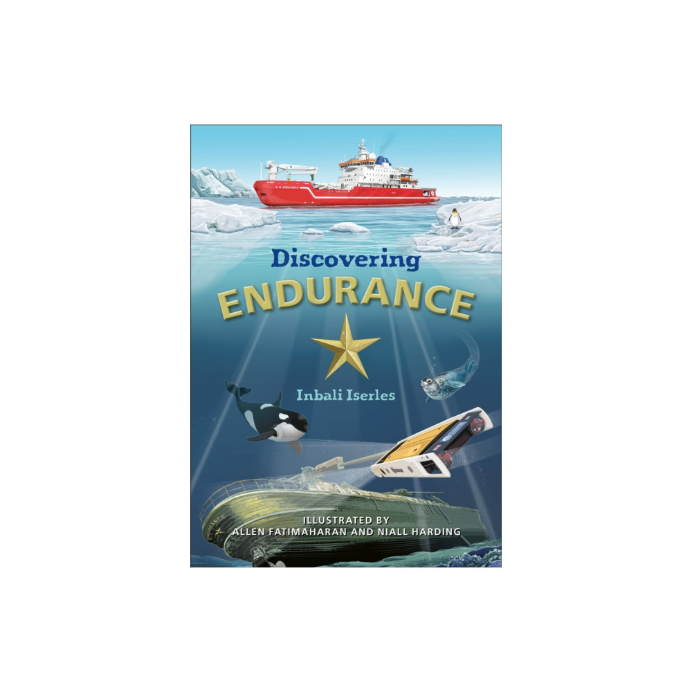 Reading Planet KS2: Discovering Endurance - Earth/Grey (häftad, english) Hodder Education