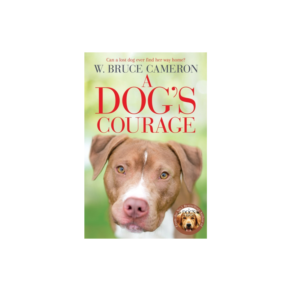 A Dog's Courage (häftad, english) Pan Macmillan