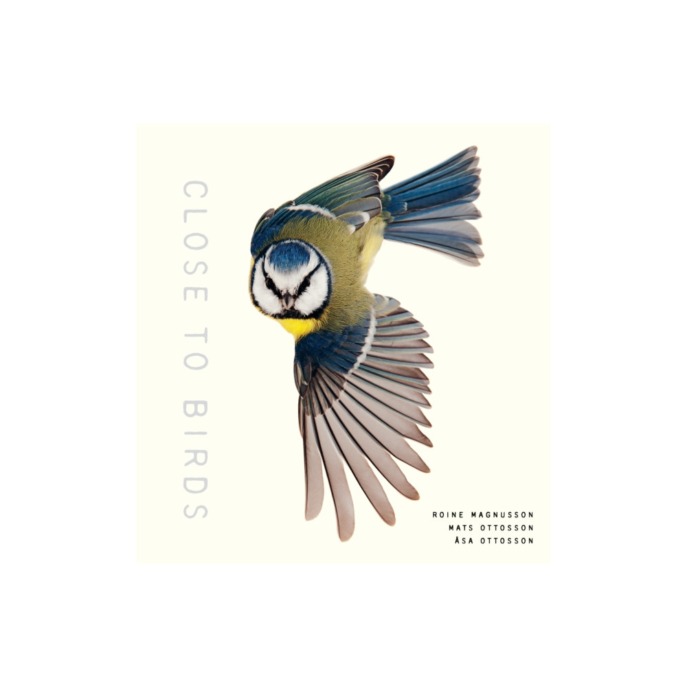 Close to Birds (inbunden, english) Shambhala Publications Inc