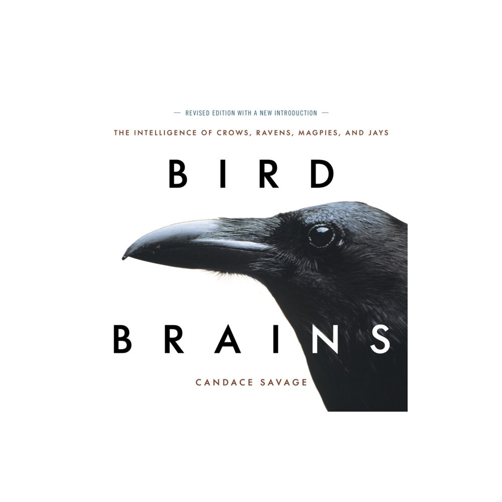 Bird Brains (häftad, english) Greystone Books,Canada