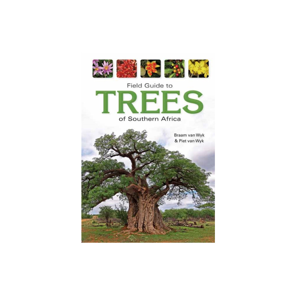 Field Guide to Trees of Southern Africa (häftad, english) Penguin Random House South Africa