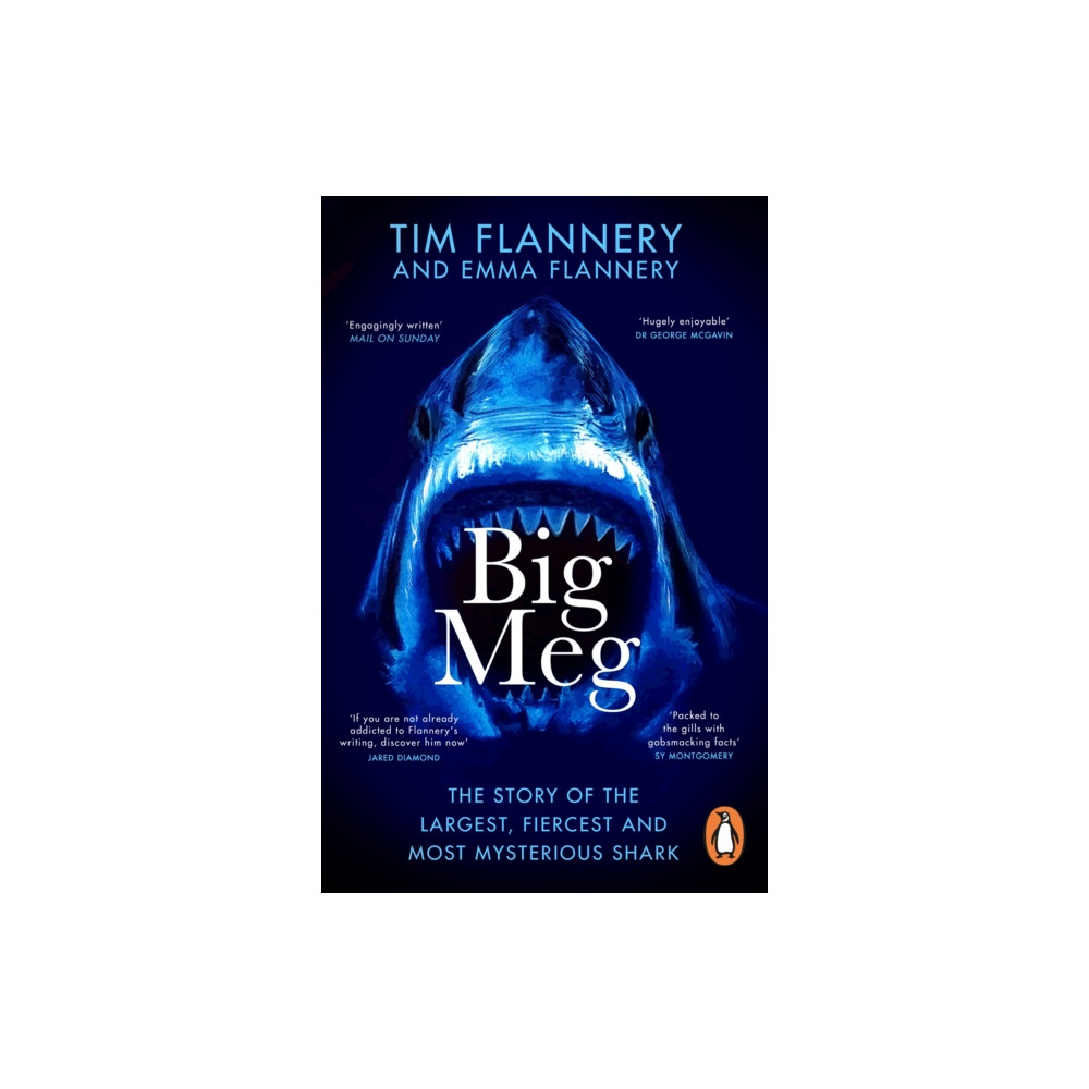 Big Meg (häftad, english) Transworld publishers ltd