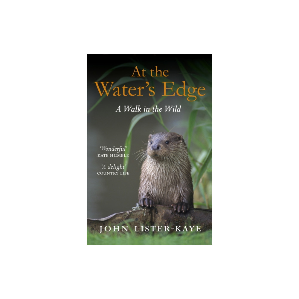 At the Water's Edge (häftad, english) Canongate Books