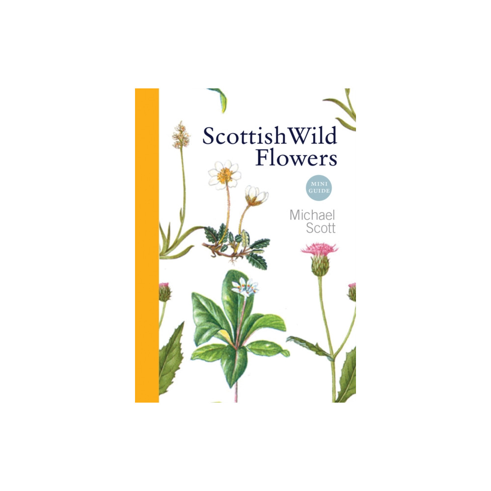 Scottish Wild Flowers (häftad, eng)