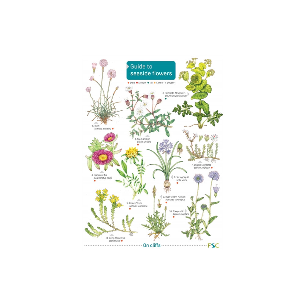 Seaside Flowers (häftad, english) Field Studies Council