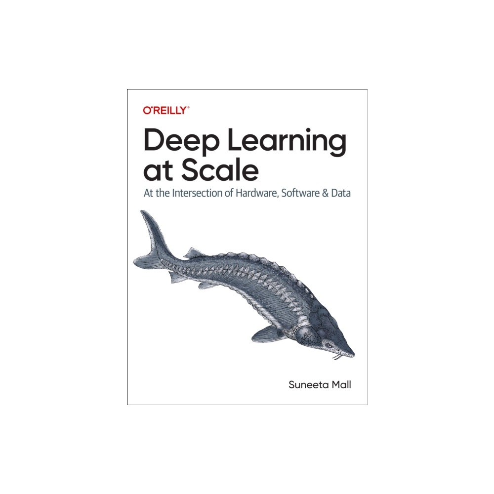 Deep Learning at Scale (häftad, eng)