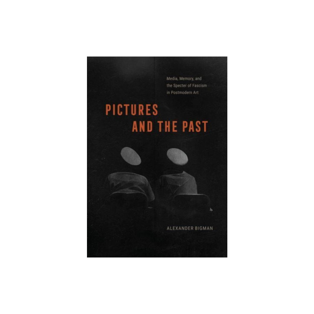 Pictures and the Past (inbunden, english) The university of chicago press