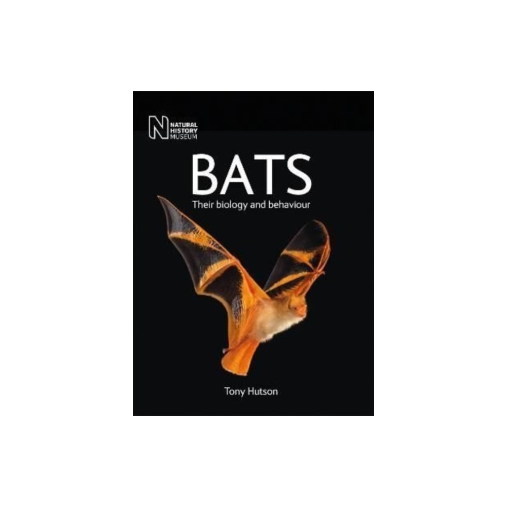 Bats (häftad, eng)