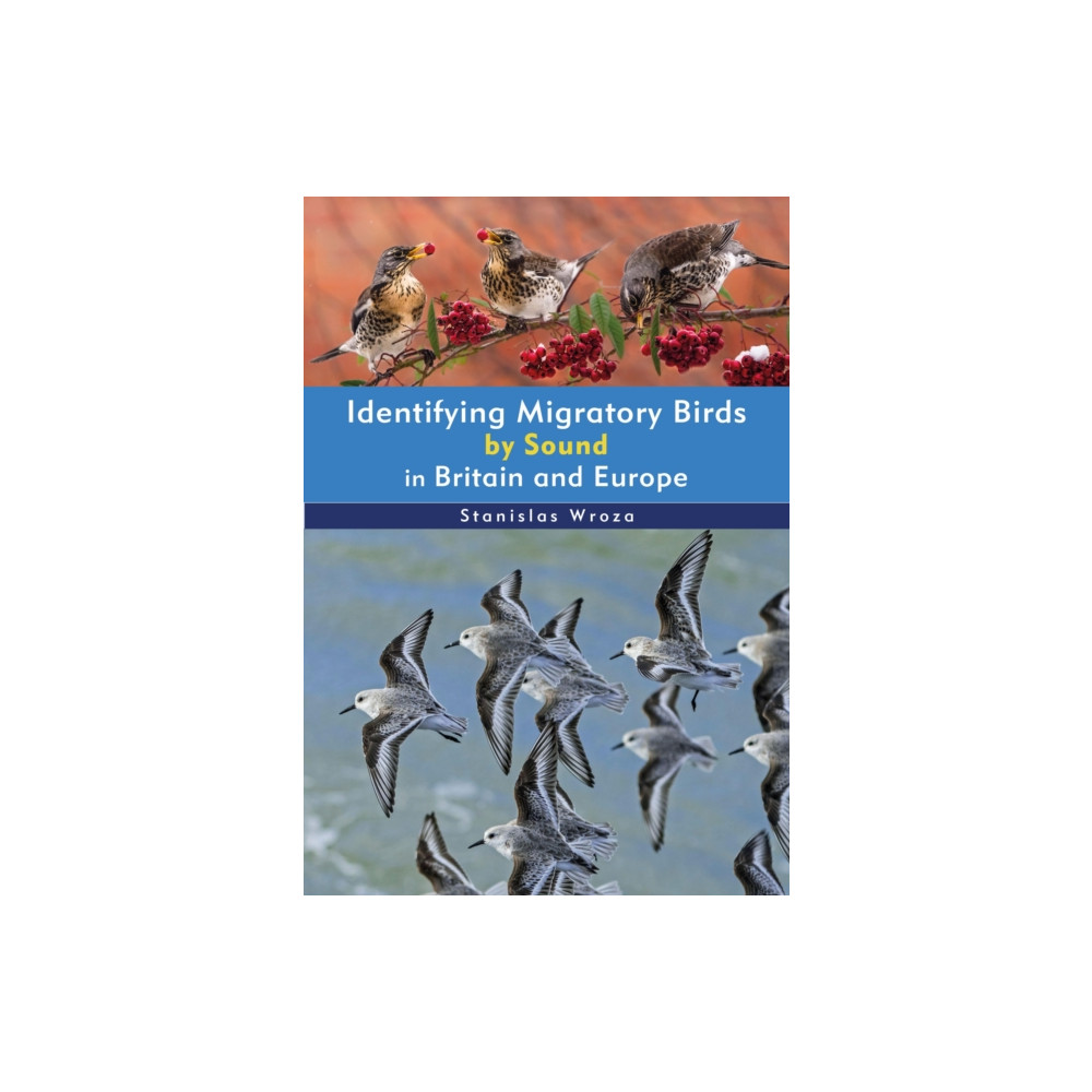 Identifying Migratory Birds by Sound in Britain and Europe (häftad, english) Bloomsbury Publishing PLC