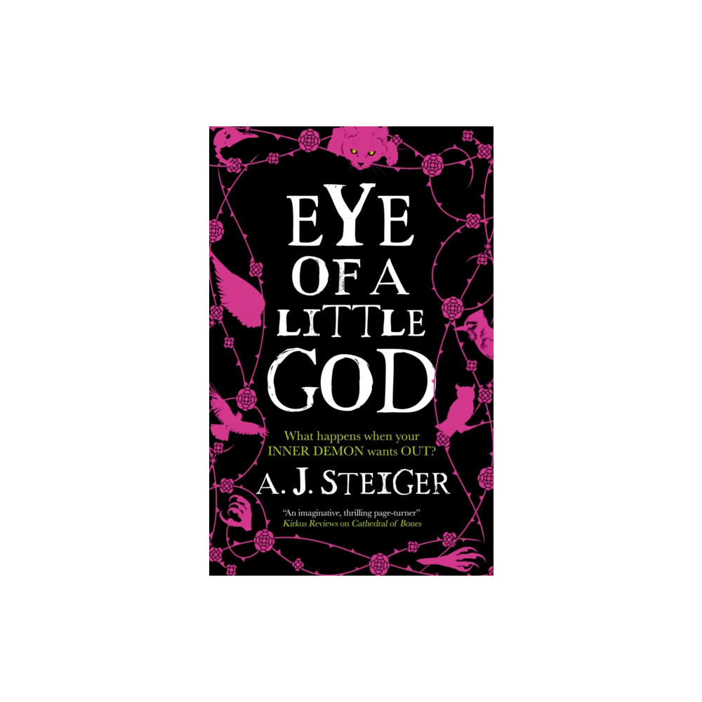 Eye of a Little God (häftad, english) Canongate Books