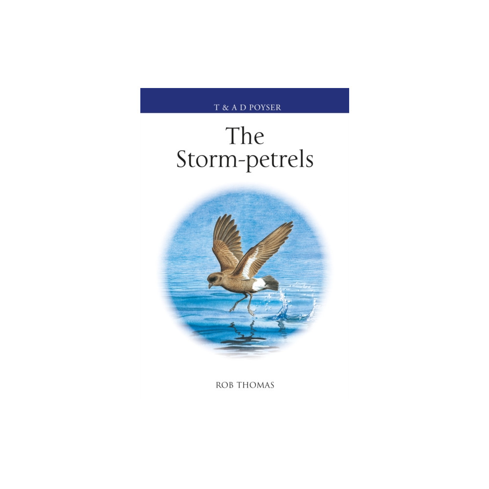 The Storm-petrels (inbunden, eng)