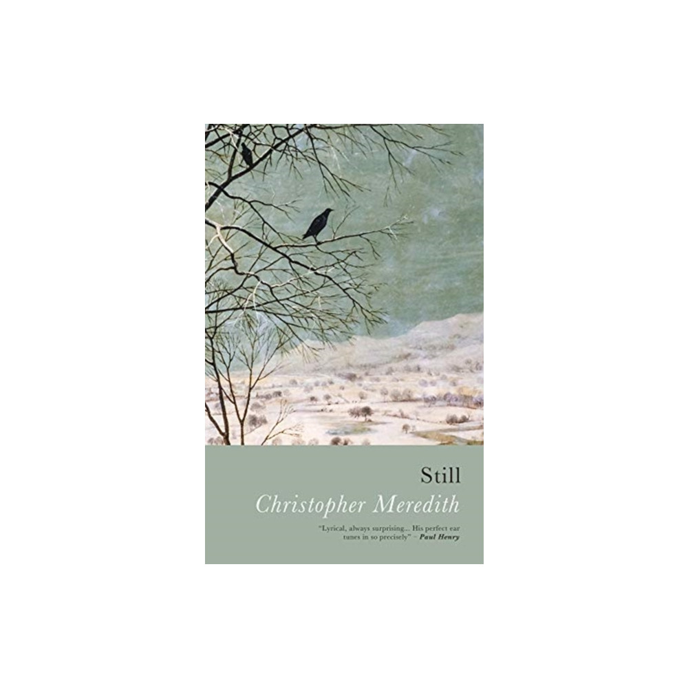 Still (häftad, english) Poetry Wales Press