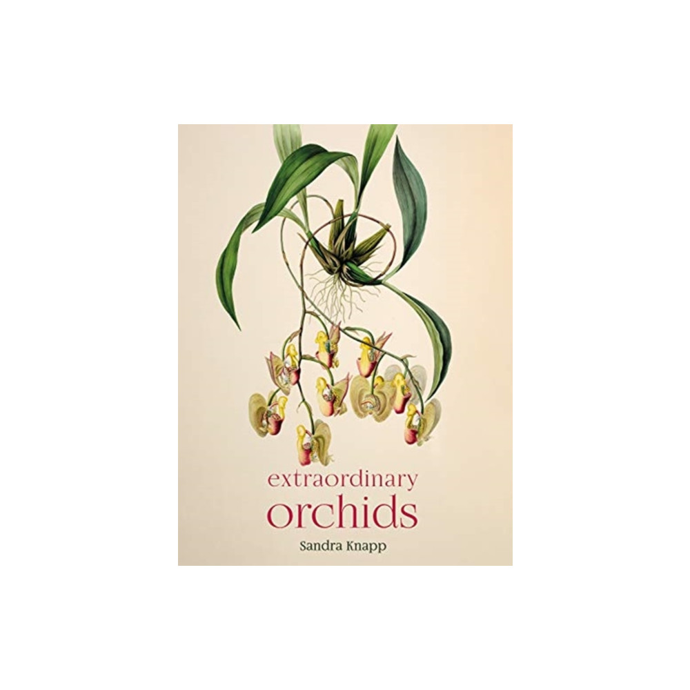 Extraordinary Orchids (inbunden, english) The Natural History Museum
