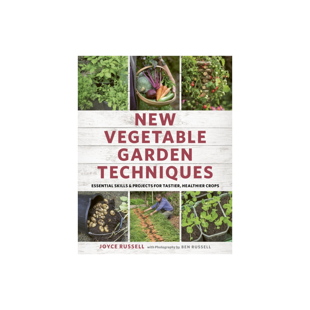 New Vegetable Garden Techniques (häftad, english) Quarto Publishing Plc