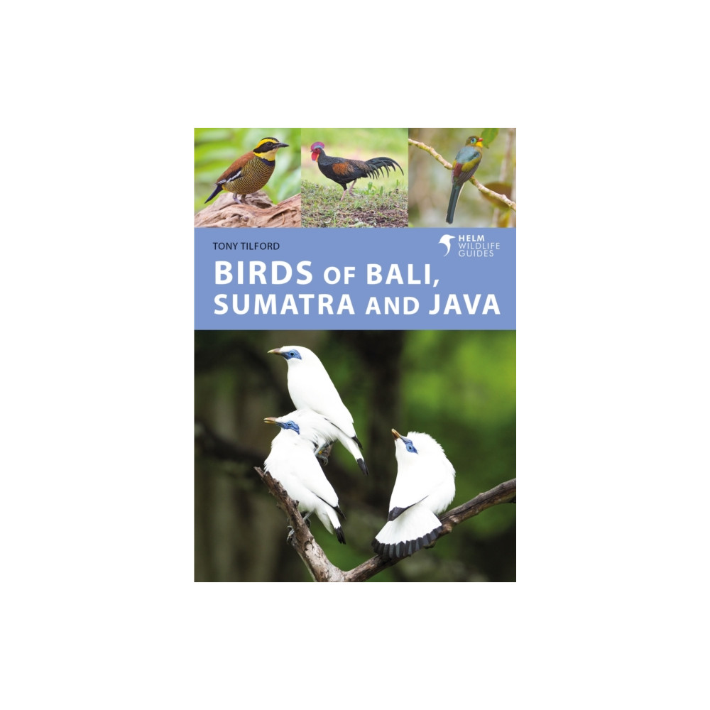 Birds of Bali, Sumatra and Java (häftad, eng)