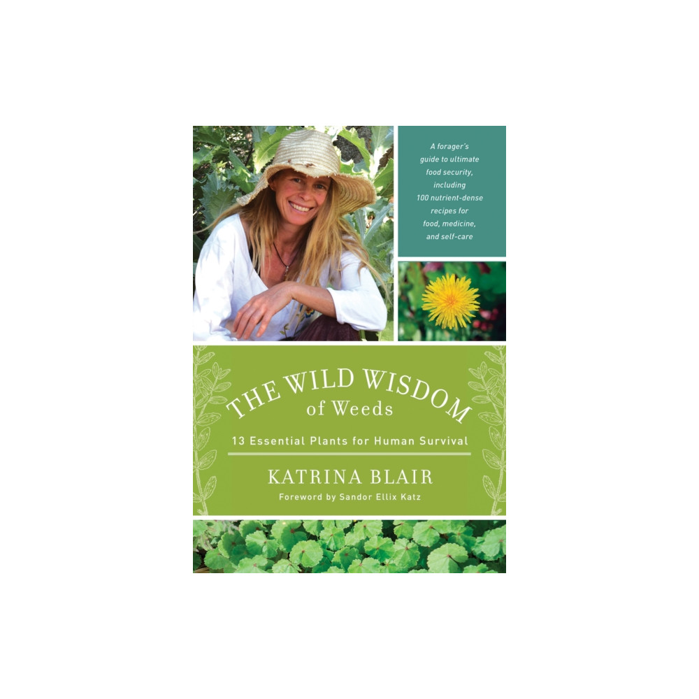 The Wild Wisdom of Weeds (häftad, english) Chelsea Green Publishing Co