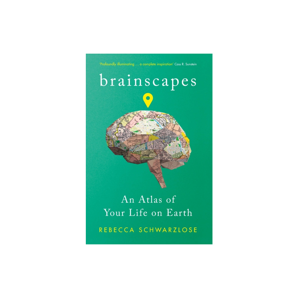 Brainscapes (häftad, english) Profile Books Ltd