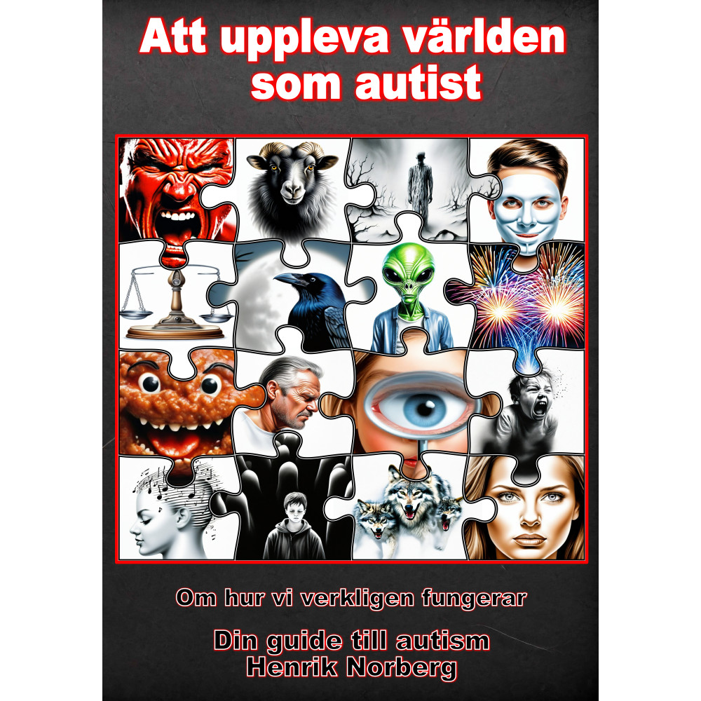 Att uppleva världen som autist (häftad) Henrik Norberg