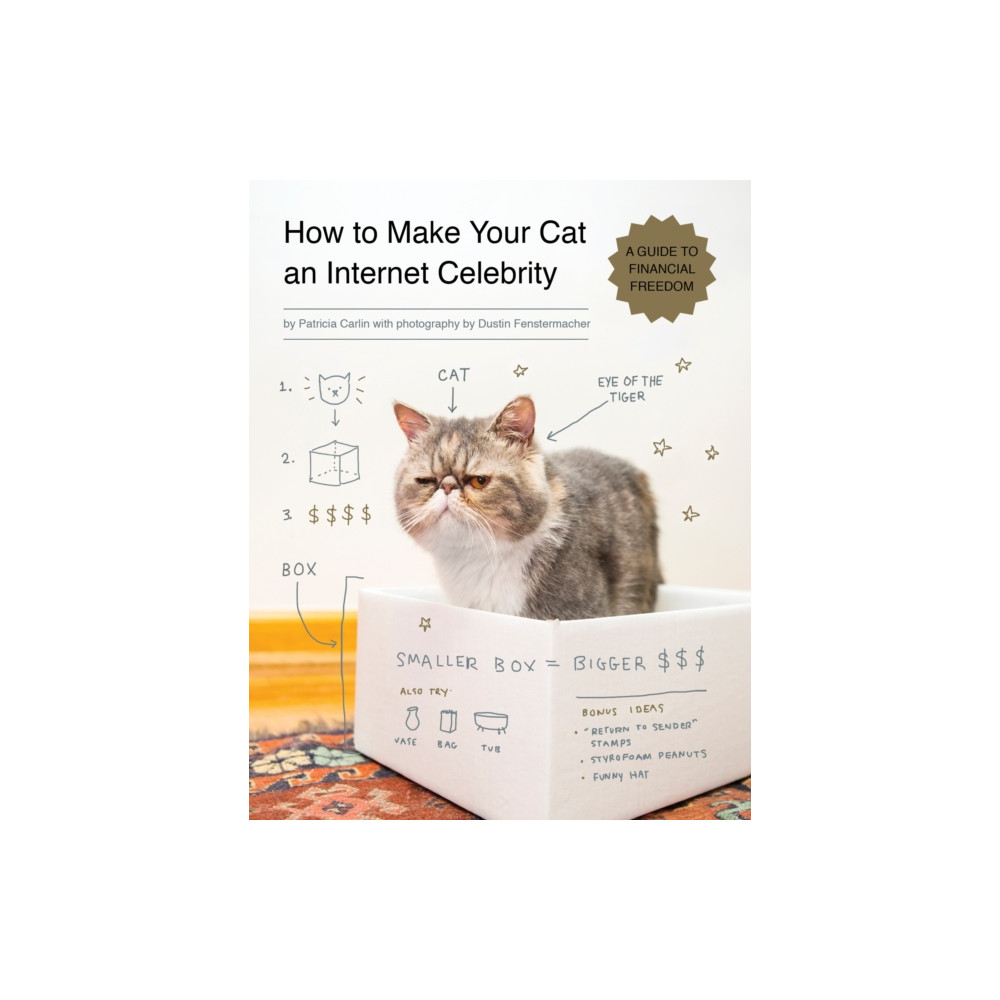 How to Make Your Cat an Internet Celebrity (häftad, english) Quirk Books
