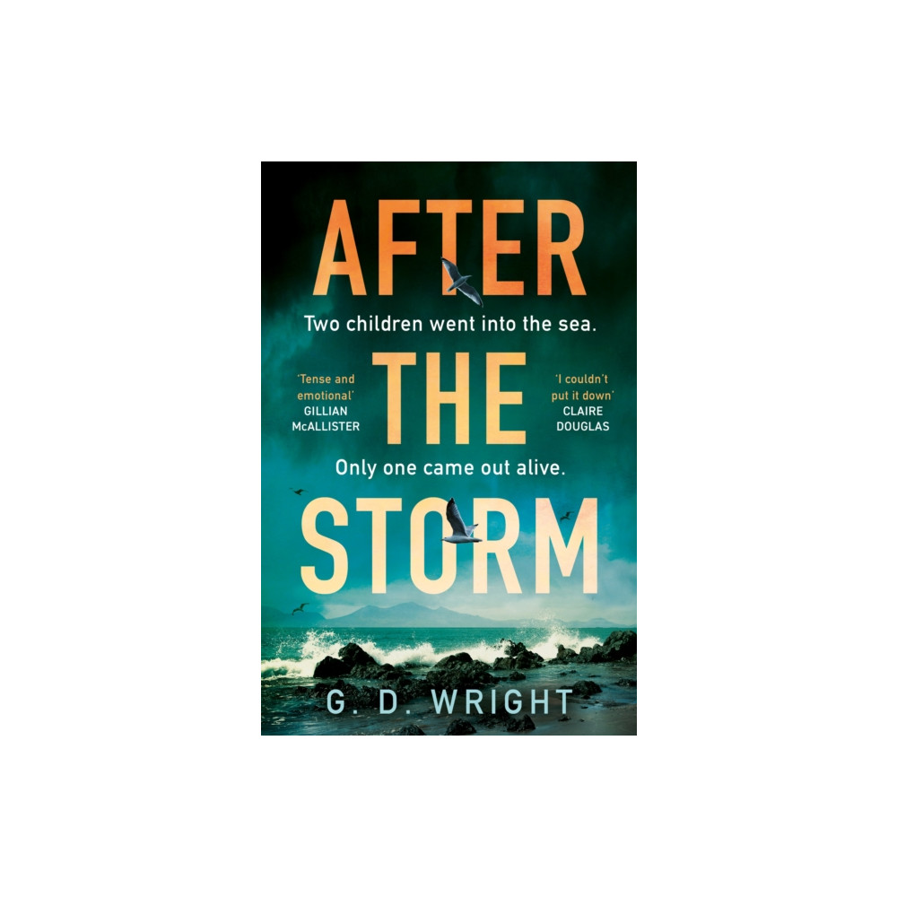 After the Storm (häftad, english) HarperCollins Publishers