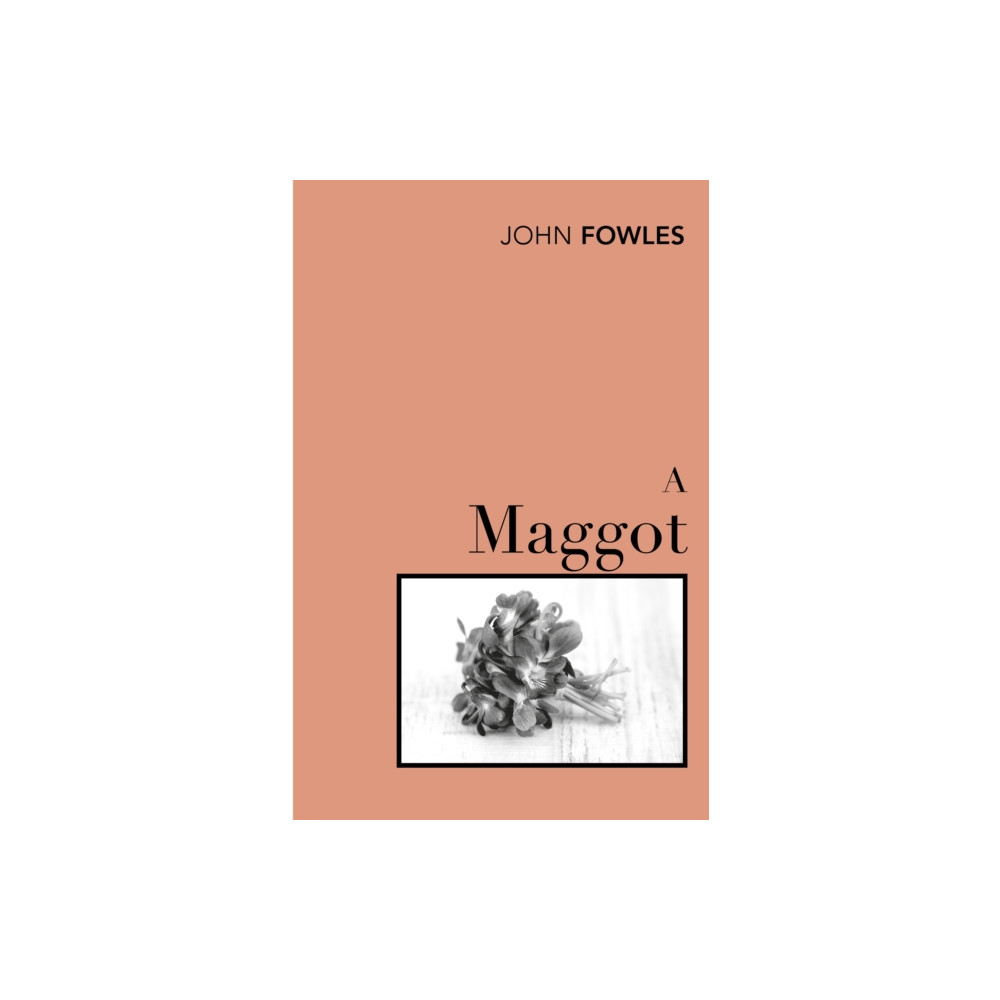 A Maggot (häftad, english) Vintage Publishing