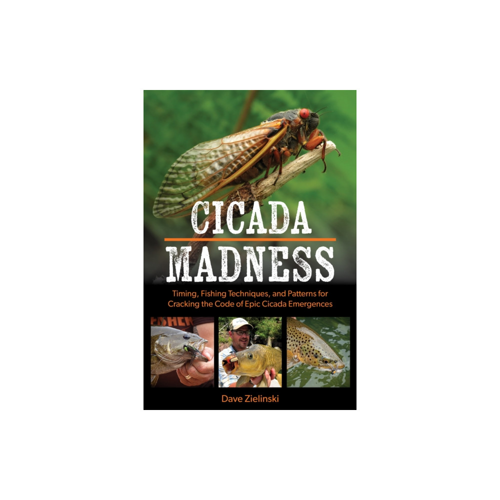Cicada Madness (häftad, eng)