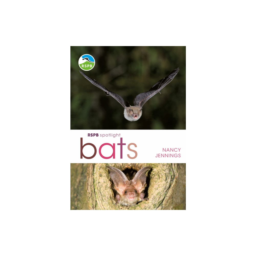 RSPB Spotlight Bats (häftad, english) Bloomsbury Publishing PLC