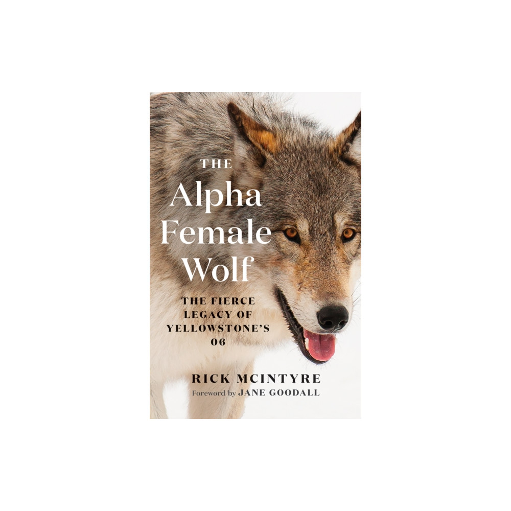 The Alpha Female Wolf (häftad, english) Greystone Books,Canada