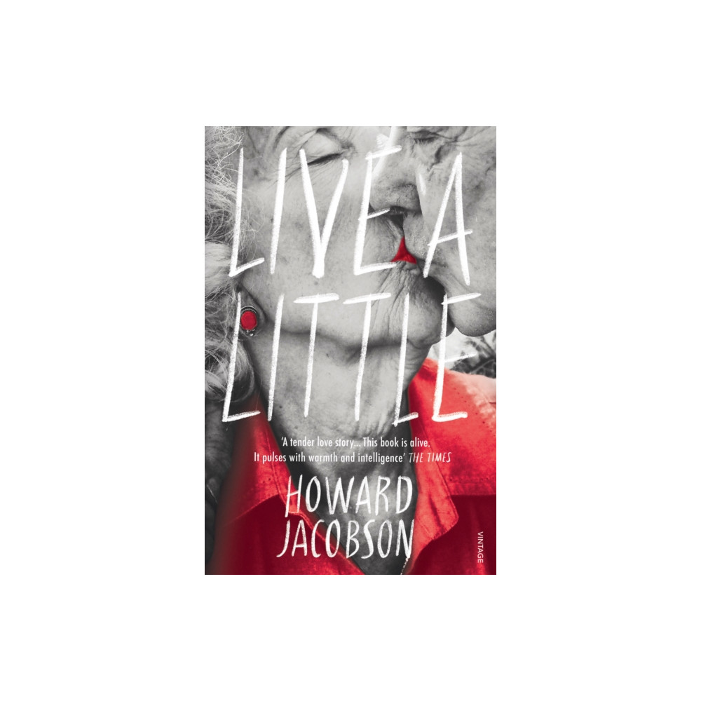 Live a Little (häftad, english) Vintage Publishing