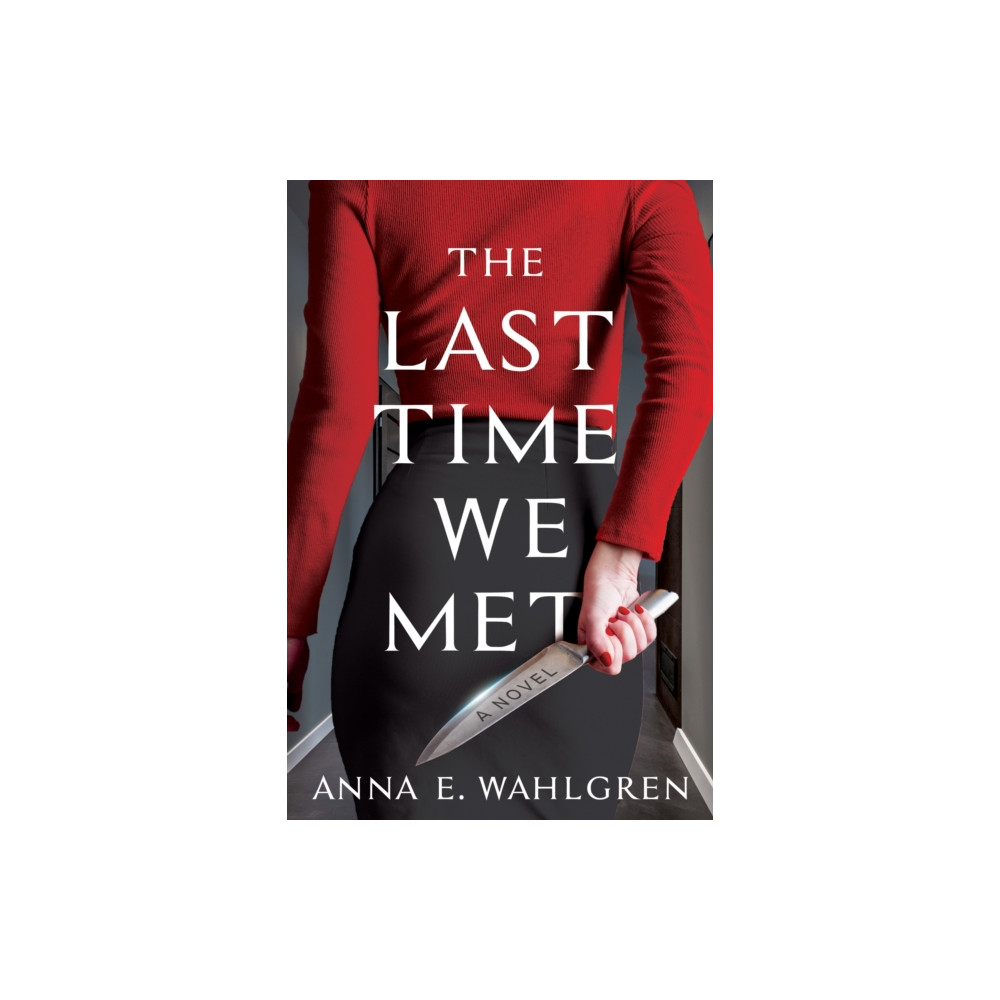 The Last Time We Met (inbunden, english) Crooked Lane Books
