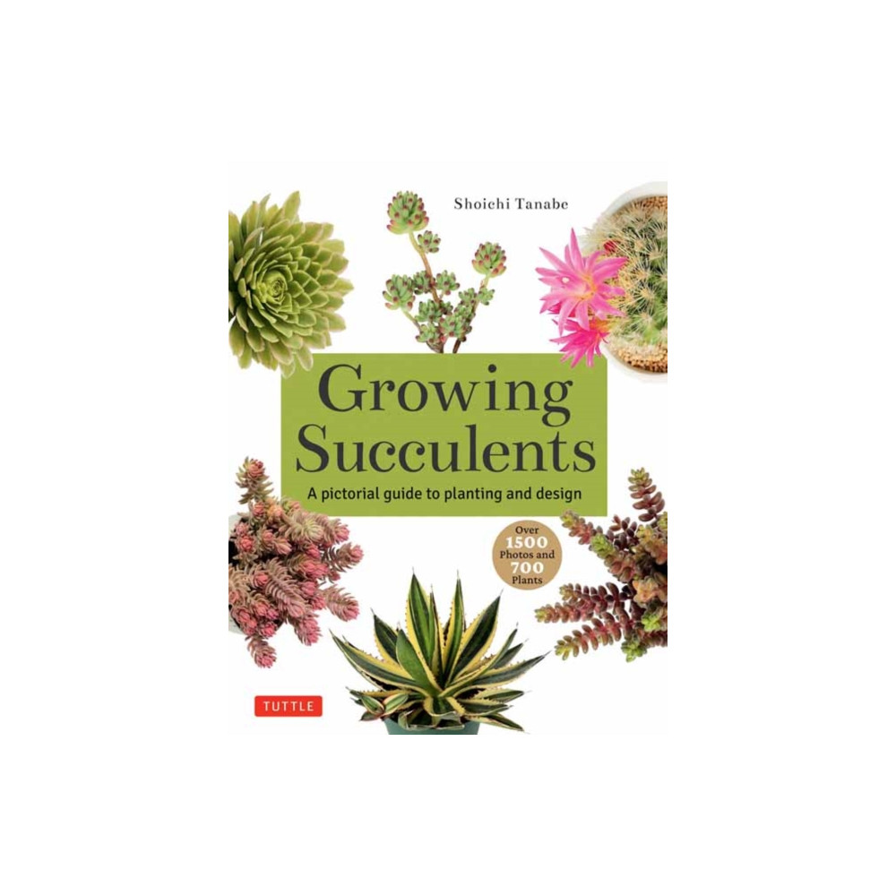 Growing Succulents (häftad, english) Tuttle Publishing