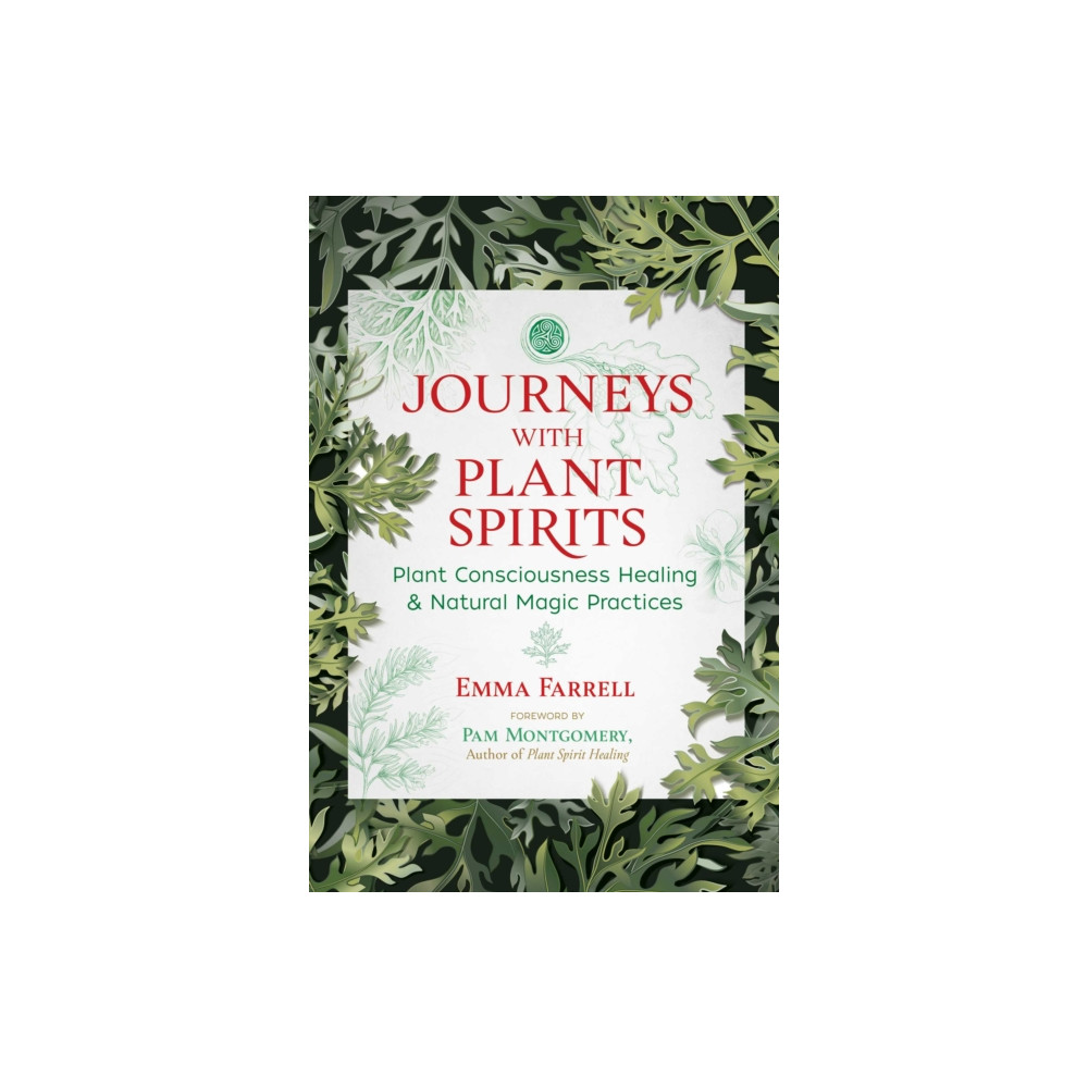 Journeys with Plant Spirits (häftad, english) Inner Traditions Bear and Company