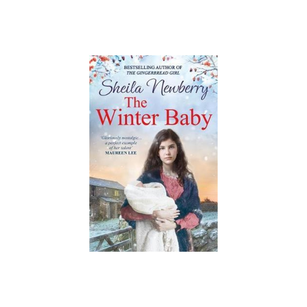 The Winter Baby (häftad, english) Zaffre